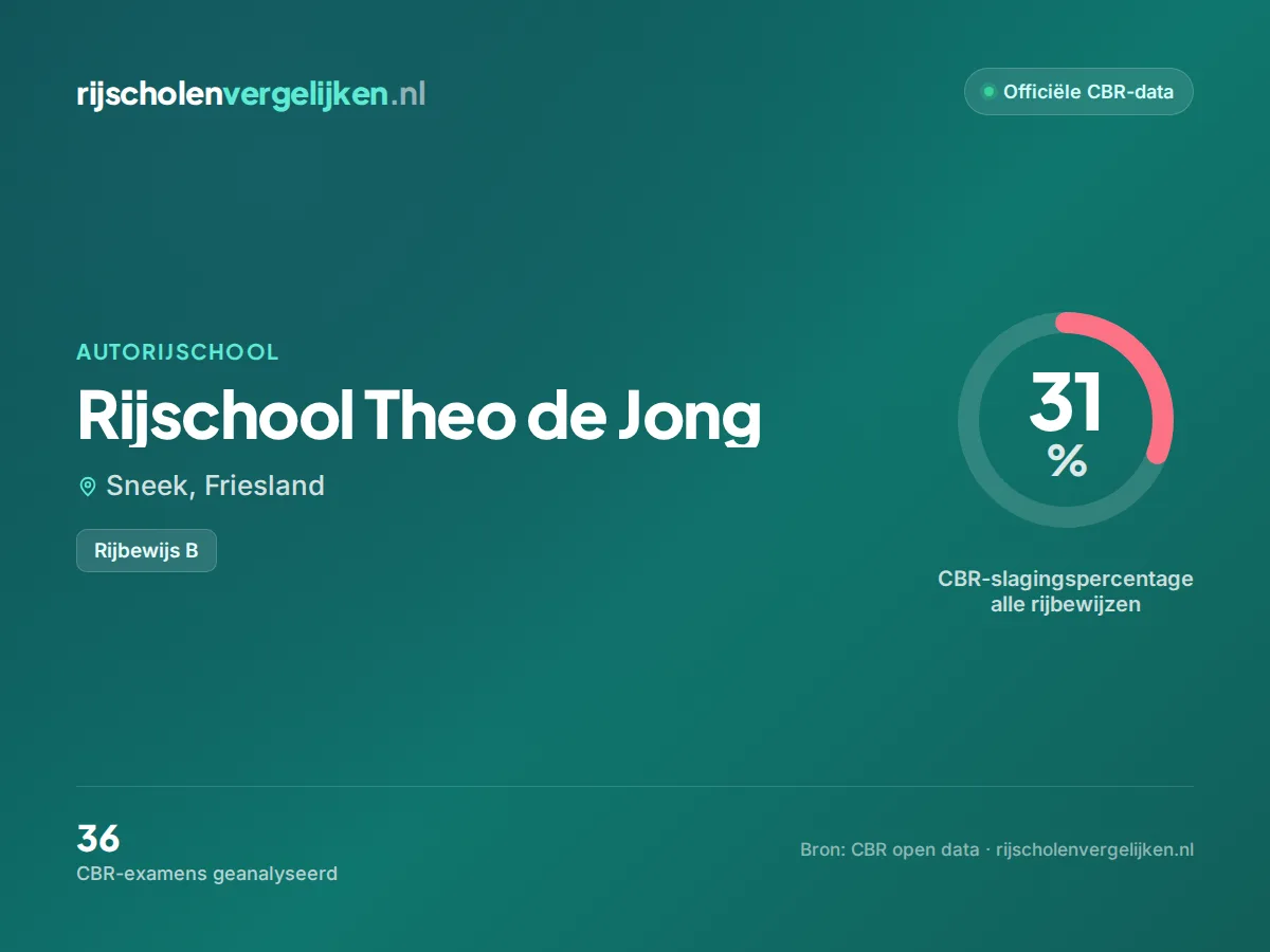Statistiekkaart Rijschool Theo de Jong