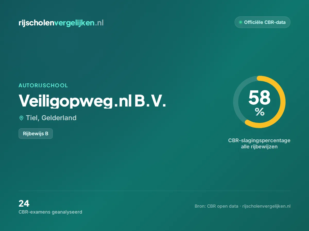 Statistiekkaart Veiligopweg.nl B.V.