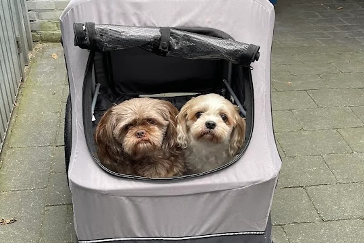 Autorijschool "Subliem"