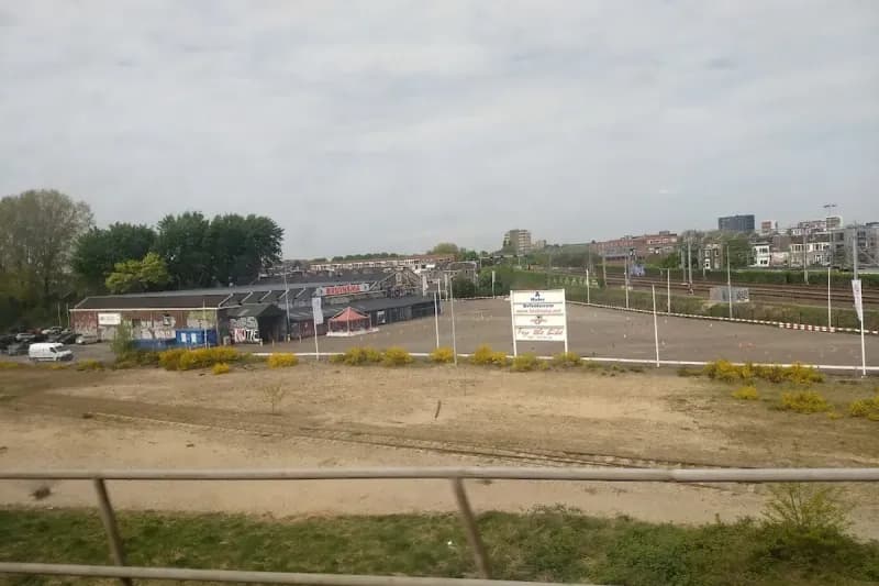 Bruinsma