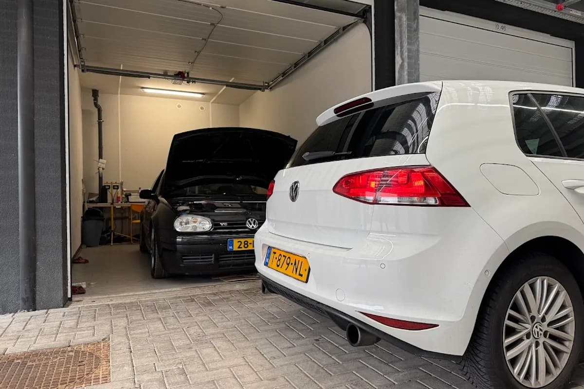 Goat on the road - Heerhugowaard