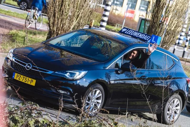 Leeuwendael Rijinstructie - Rijswijk