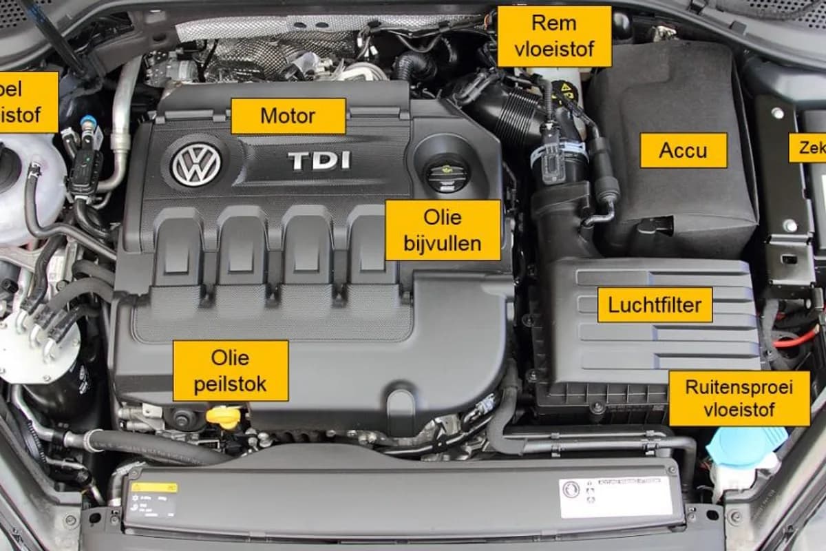 Rijcompany - Amsterdam