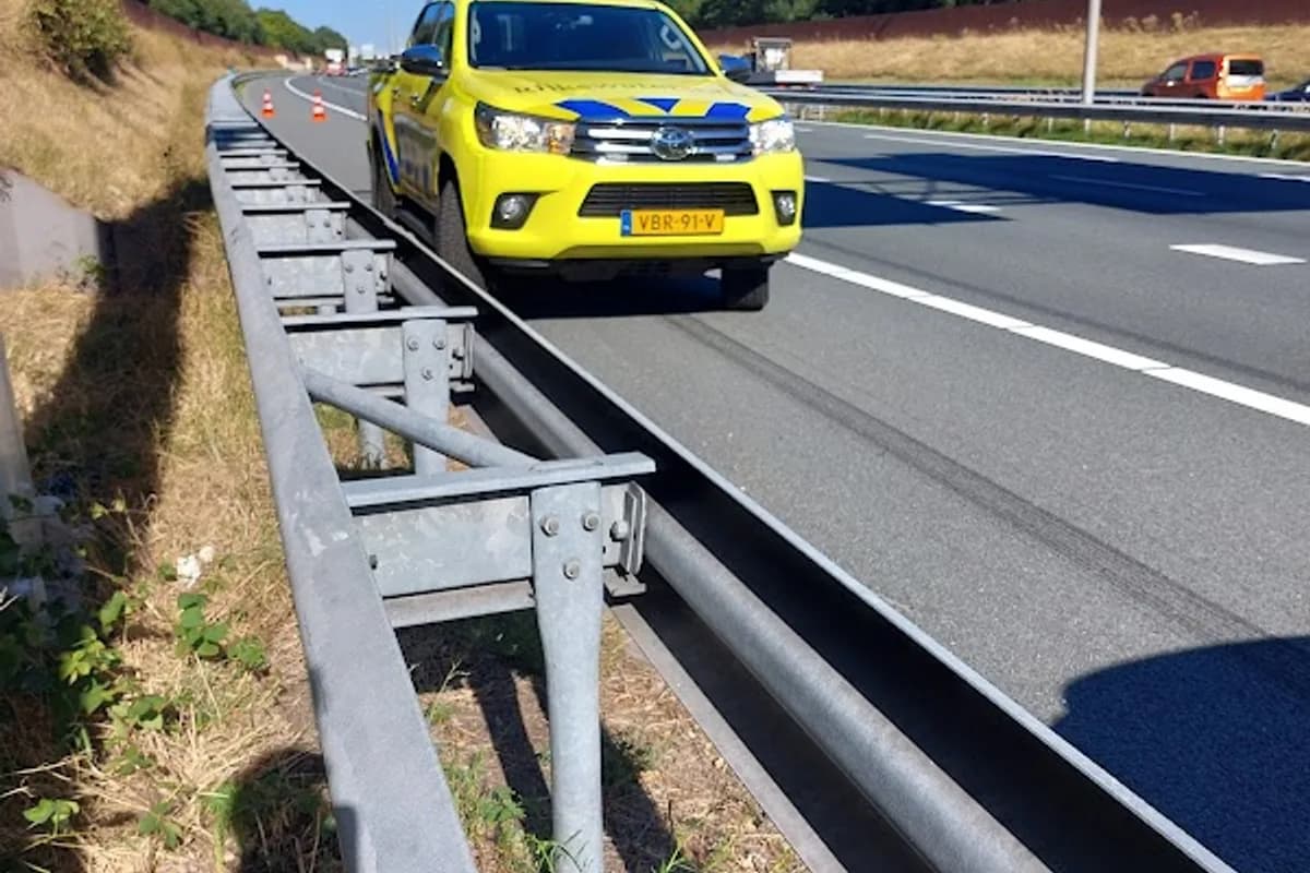 Wolves Opleidingen - Zwolle